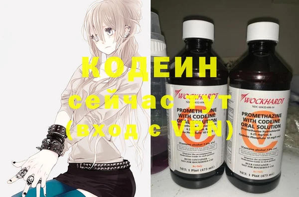 мяу мяу мука Пестово
