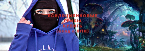 ешки Пересвет