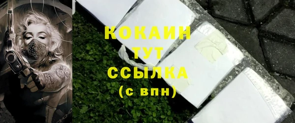 ешки Пересвет