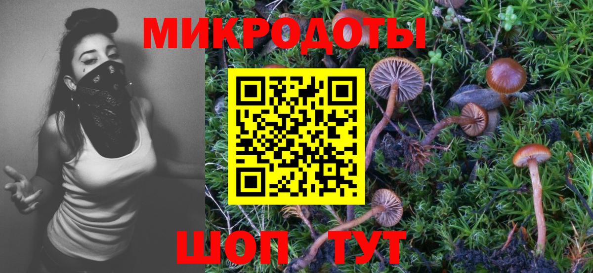 Галлюциногенные грибы прущие грибы Альметьевск