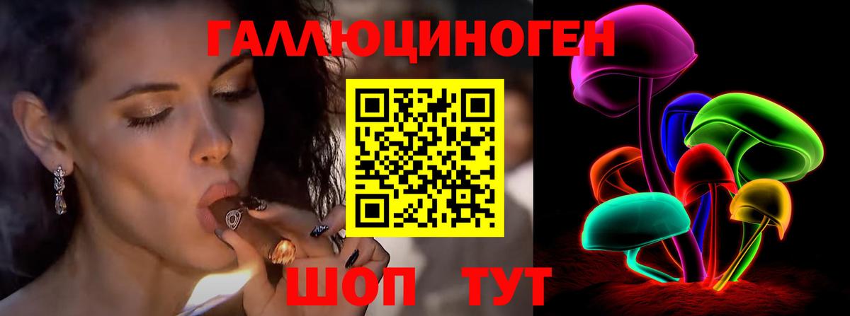 Альметьевск  Псилоцибиновые грибы Psilocybine cubensis  Вход с VPN  Псилоцибиновые грибы Cubensis 