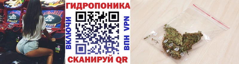 Бошки марихуана план Альметьевск